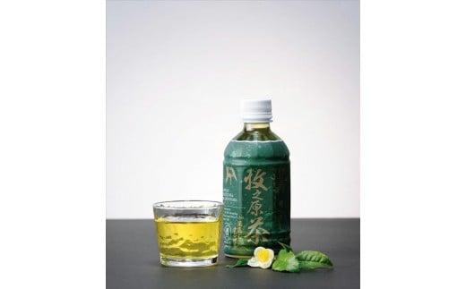 049-7 牧之原の雫茶　プレミアムペットボトル　350ml×24本