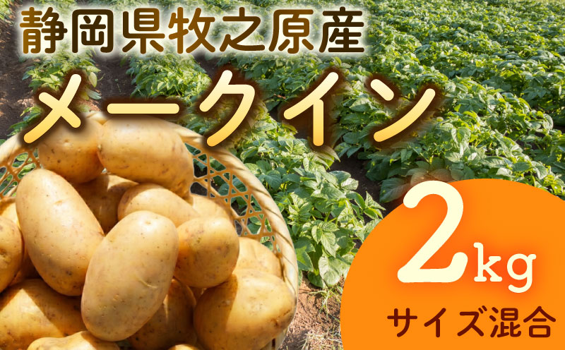 【先行予約 2027年3月順次発送 国産 じゃがいも】掘りたてメークイン 2kg  新じゃが  丸新柴本製茶 静岡 県 牧之原市