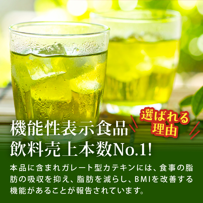 131-41 おーいお茶 濃い茶 計48本 600mL × 24本 2ケース お届け 防災備蓄 茶 ペットボトル 飲料 緑茶 機能性表示食品 伊藤園