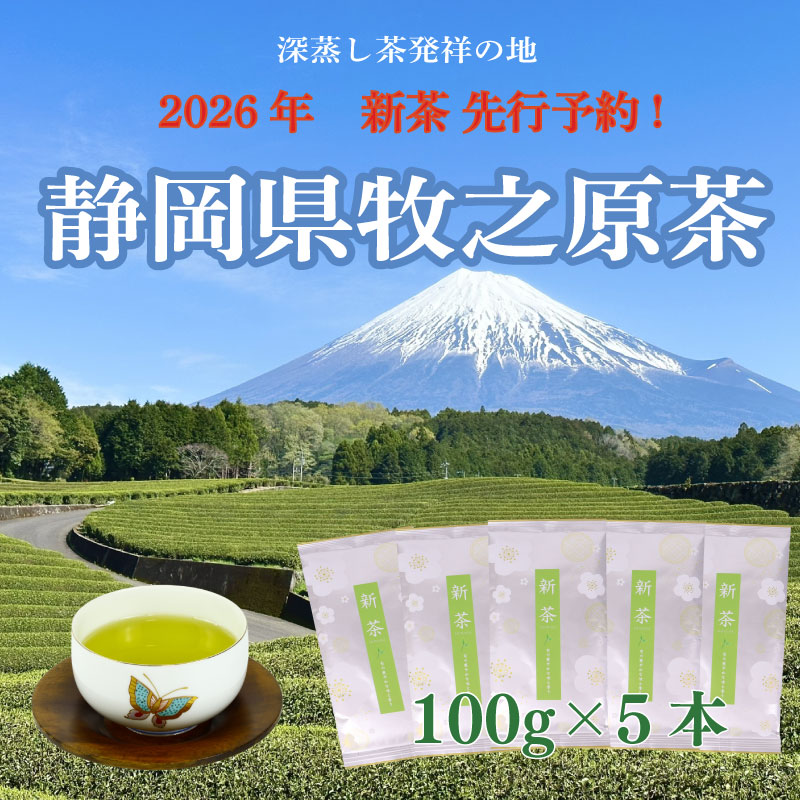 【先行予約】 2026年度産 新茶 シルバー 100ｇ×5本 お茶 静岡 新茶 濃旨 緑茶 深蒸し茶 深蒸し 茶 水出し緑茶 水出し 静岡茶 日本茶 飲料 飲み物 ドリンク 深むし茶 煎茶 セット お茶 茶 深蒸し 煎茶 旬 日常 牧之原産 甘い コク 便利 簡単 銀 茶葉 静岡茶 牧之原茶 プレゼント 贈答 贈答品 贈り物 産地直送 国産 日本 人気 静岡 県 牧之原市 小栗農園