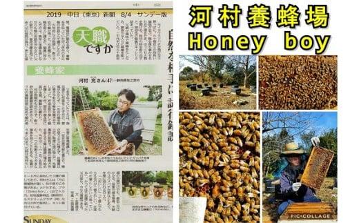 013-61　ふじのくに新商品コレクション 最高金賞受賞 ハニーボーイ 国産 はちみつ 3種類セット蜂蜜 厳選 小瓶 オシャレ