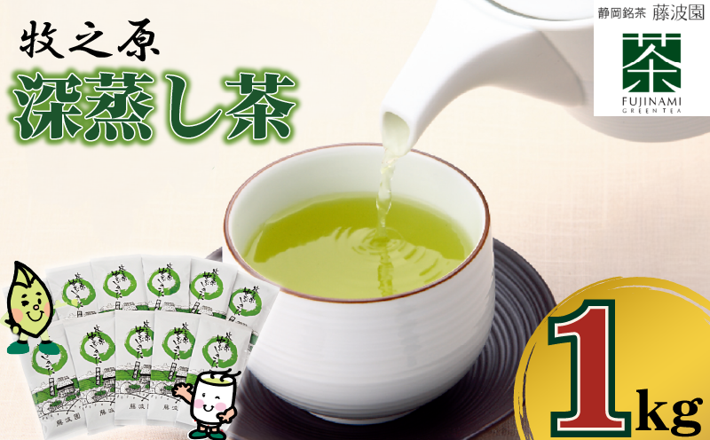 085-3 牧之原・深蒸し茶1kg (100ｇ×10本) 日用品 簡単 日常 便利 お手軽  藤波園 静岡県 牧之原市