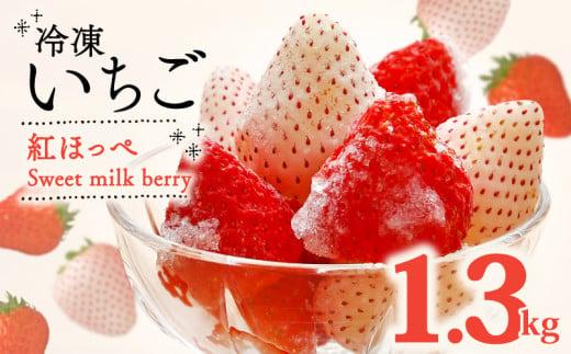 冷凍 いちご 紅ほっぺ 白いちご 計 1.3kg 高級 紅白 イチゴ 苺 セット Sweet milk berry 各 650g フルーツ 果物 ストロベリー 産地直送 国産 スイーツ デザート くだもの 畠農宝 静岡県 牧之原市