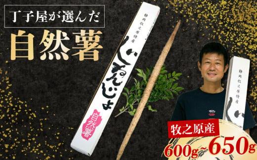 【R7年12月上旬からの発送】 丁子屋が選んだ 自然薯 台地のご馳走 600 g 〜650 g 新鮮 健康 長寿 とろろ 静岡県 牧之原市 ヤマゴ増田製茶