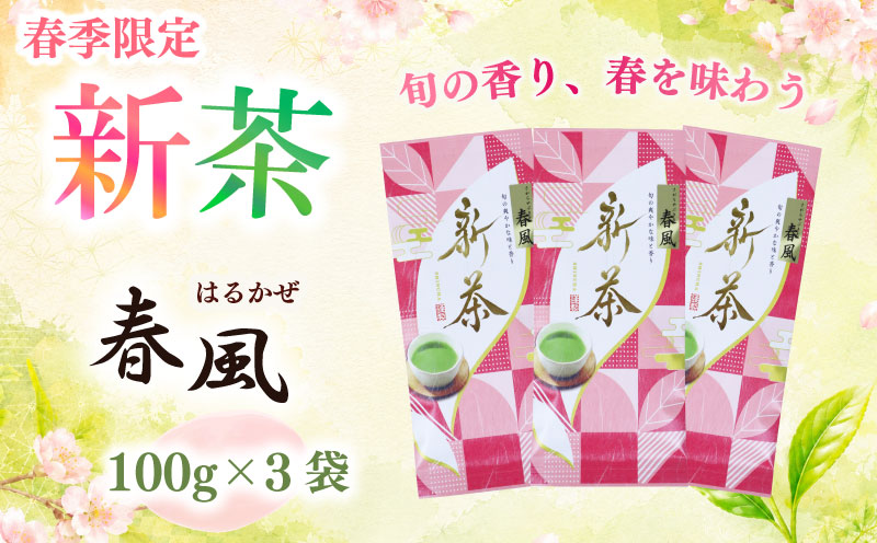 2026年度産 新茶 春風100g×3袋 お茶 静岡 新茶 濃旨 緑茶 深蒸し茶 深蒸し 茶 水出し緑茶 水出し 静岡茶 日本茶 飲料 飲み物 ドリンク 深むし茶 煎茶 セット お茶 茶 深蒸し 煎茶 旬 日常 牧之原産 甘い コク 便利 簡単 お手軽 茶葉 静岡茶 牧之原茶 プレゼント 贈答 贈答品 贈り物 産地直送 国産 日本 人気 静岡 県 牧之原市 相良物産