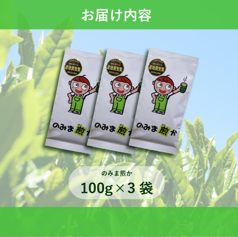 【2026年度産新茶】深蒸し煎茶 100 g × 3袋 のみま煎か 深蒸し 茶 お茶 茶葉 産地直送 国産 静岡県 牧之原市 あっくん 