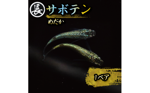 129-8 鬲壻サ 鬲夐。 鬲 繧オ繝懊ユ繝ウ 1繝壹い 繧√□縺 鬟シ閧イ 蛻晏ソ閠 縺翫☆縺吶a 豌エ讒ス 繧、繝ウ繝繝ェ繧「 逕溽黄 髑題ウ 鄒 髱吝イ。逵 迚ァ荵句次蟶 荳ク髟キ