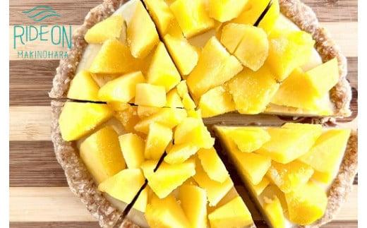 189-5　オーガニックRawマンゴータルト