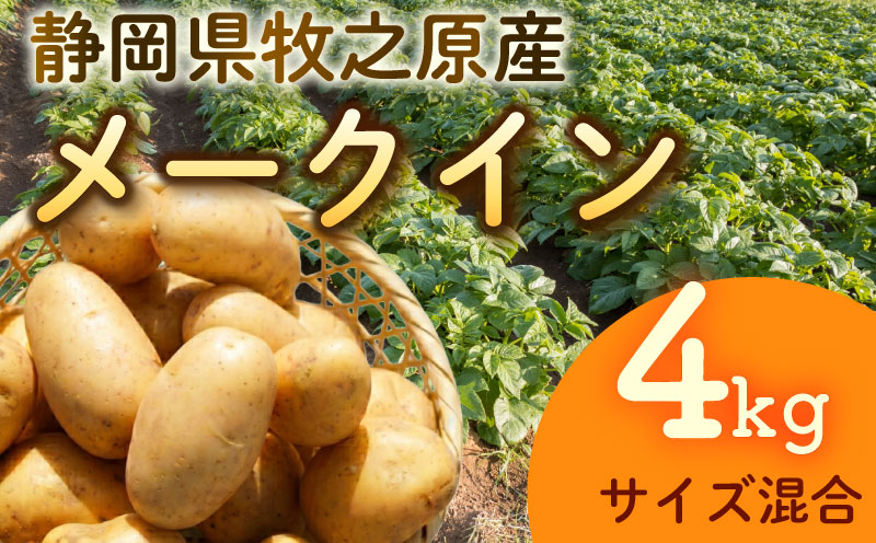 【先行予約 2027年3月順次発送 国産 じゃがいも】掘りたてメークイン 4kg  新じゃが  丸新柴本製茶 静岡 県 牧之原市