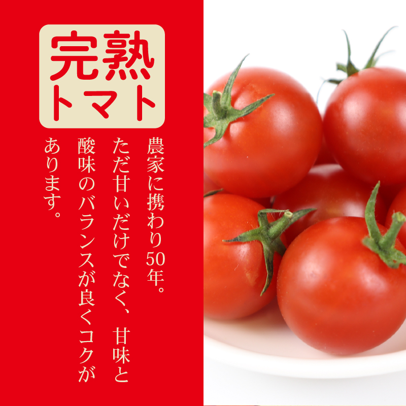 【先行予約】ミニ トマト フルーツ トマト ラブリーさくらとまと うまたま 2kg 1kg × 2箱  トマト みにとまと 甘み 夏 新鮮 野菜 完熟 サラダ パスタ トマトソース トマトスープ トマトジュース おやつ  贈答 プレゼント お歳暮 国産 安心 農家直送 産地直送 静岡トマト 静岡とまと 静岡みにとまと 予約 受付 やさい 国産 野菜 フルーツ 甘い 静岡県 牧之原市 山本農園