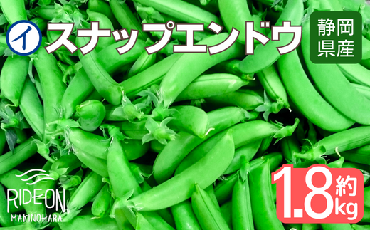 155-2 【期間限定1月〜3月発送】牧之原産スナップエンドウ 1.8kg入り