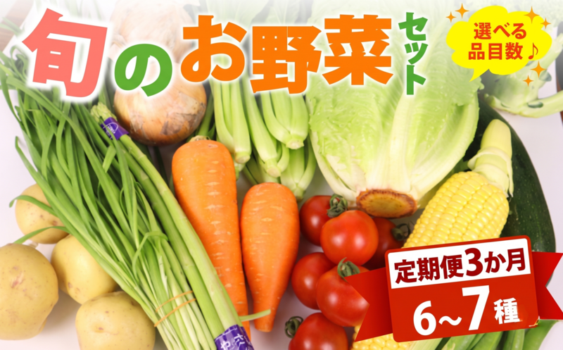 【朝採れ】定期便 3か月 野菜 セット 6~7品目 以上 お野菜 季節 野菜 旬 新鮮 産地直送 詰め合わせ やさい おいしい セット 美味しい たっぷり 丸新柴本製茶 静岡県 牧之原市