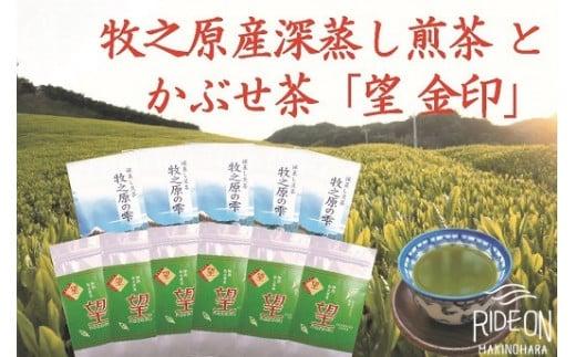 098-6 【令和7年5月より新茶出荷】 牧之原産 深蒸し茶「牧之原の雫」とかぶせ茶「望」  計11本 詰合せ セット お茶 茶 深蒸し 煎茶 旬 日常 のし 熨斗 贈答 ギフト 静岡県 牧之原市 澤田行平商店