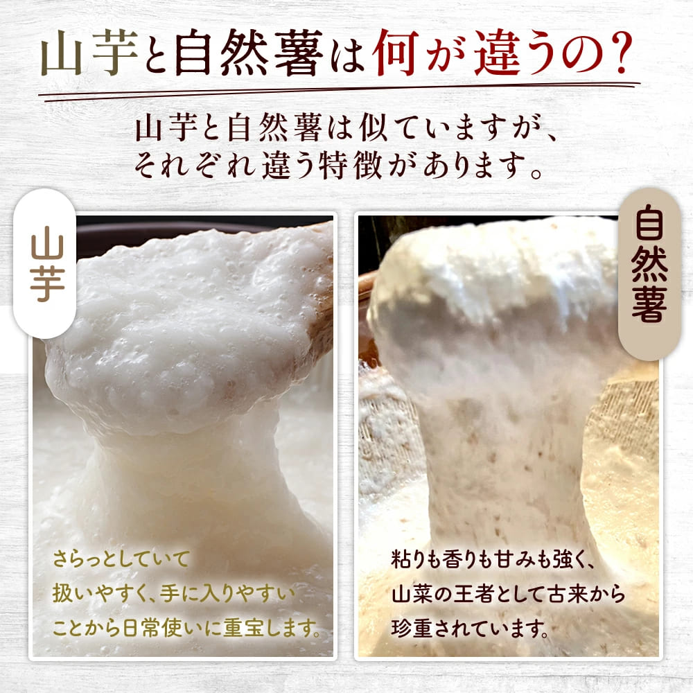 【7日以内発送】とろろ 天然 100％ 自然薯 100 g × 2 パック 擦り下ろし 擦りおろし 晩御飯 お弁当 昼 夜 朝 ランチ おいしい 牛丼 じねんじょ 滋養強壮 お取り寄せ ギフト グルメ 贈答 人気 イチオシ おすすめ 高級 父の日 母の日 御歳暮 お中元 送料無料 スピード発送 腸活 アスリート飯 お正月 夕飯 おつまみ 静岡県 牧之原市 尾白弁当