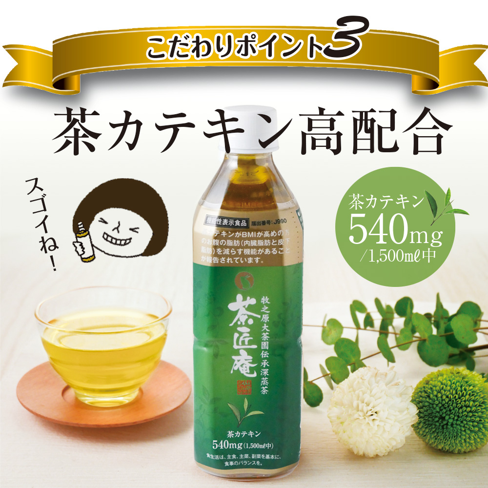 【 機能性表示食品 】 茶匠庵 緑茶ペットボトル 500ml×48本 日付指定不可 静岡県 牧之原市 いなば園