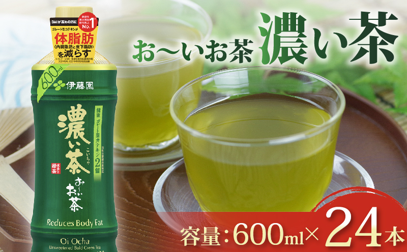 131-33 おーいお茶 濃い茶 600mL × 24本 防災備蓄 茶 ペットボトル 飲料 緑茶 機能性表示食品 伊藤園