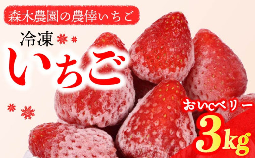 冷凍 いちご 苺 3kg以上 完熟 おいCベリー ヘタ取り いちご 静岡 限定 苺 冷凍いちご 果物 スイーツ いちご 牧之原市 デザート フルーツ スイーツ アイス ジャム シャーベット ベリー 氷菓 冷凍 甘い オススメ ギフト 人気 牧之原市 森木農園