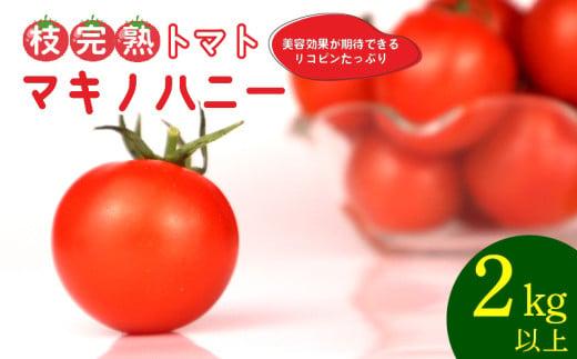 トマト 中玉 2kg 以上 マキノハニー 枝完熟 トマト トマトップ 高 リコピン うまみ 甘い 新鮮 野菜 産地直送 やさい ビタミン 静岡県 牧之原市