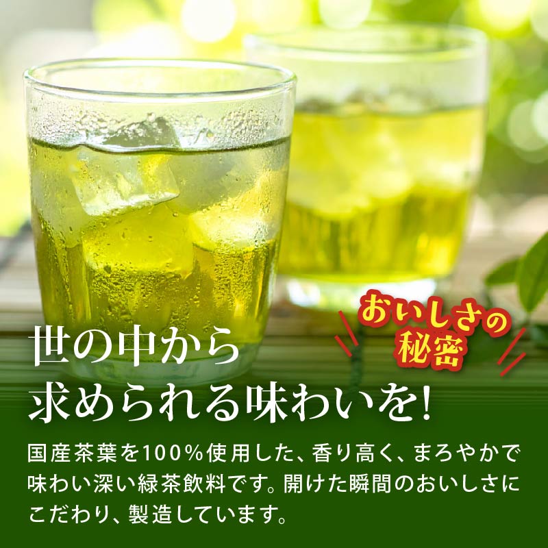 131-37 おーいお茶 緑茶 計 48本 600mL × 24本 2ケース 防災備蓄 茶 ペットボトル 飲料 伊藤園