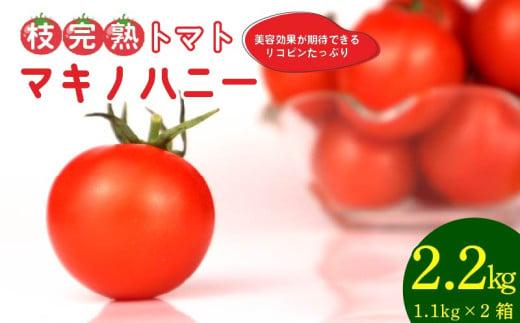 トマト 中玉 2.2kg 以上 マキノハニー 枝完熟 トマト トマトップ 高 リコピン うまみ 甘い 新鮮 野菜 産地直送 やさい ビタミン 静岡県 牧之原市