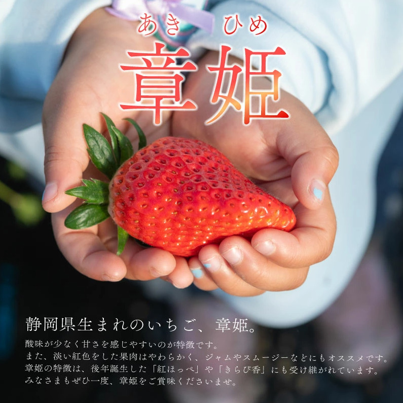 å·åãã¡ã ç« å§« åœç£ å·å ãã¡ã 2kg ãã«ãŒã ã¹ã€ãŒã ãã¶ãŒã ãã ãã® æç© ã¹ããããªãŒ çã ãããã å€§ç² æ¿å å·åãã¡ã ããæ°· é岡ç ç§ä¹ååž è€ç°èŸ²å