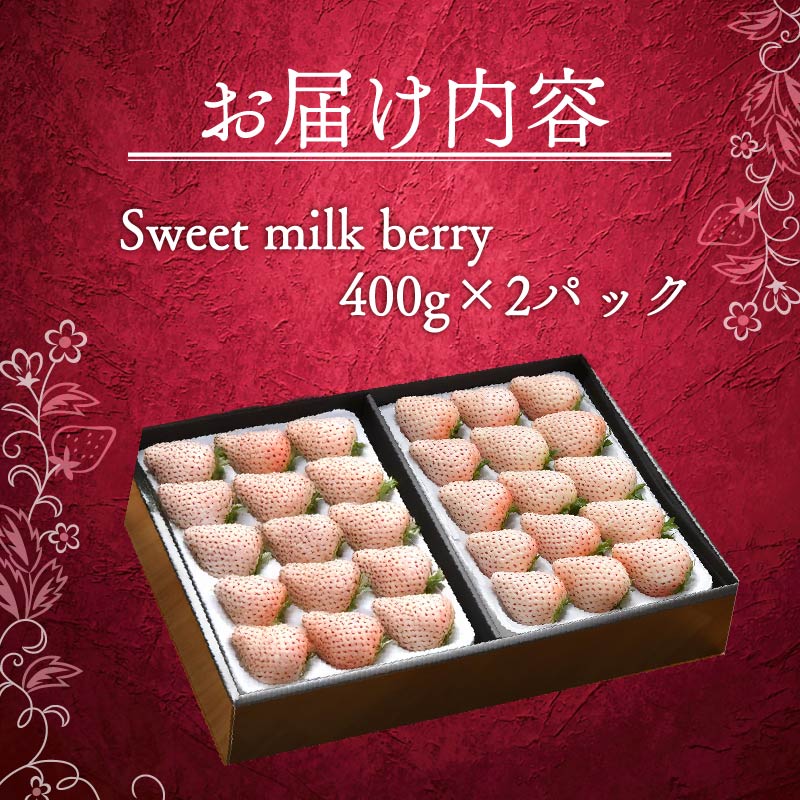 いちご 白いちご 計 800g 計 2 パック 高級 白 イチゴ 苺 セット Sweet milk berry 2 パック 400g × 2 パック フルーツ 果物 ストロベリー 産地直送 国産 スイーツ デザート くだもの イチゴ 果物 贈答用 ギフト 畠農宝 静岡県 牧之原市