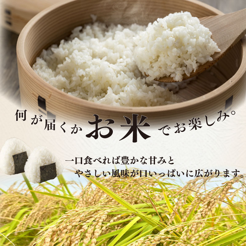 縺顔アウ 5kg 蜩∫ィョ 縺翫∪縺九○ 縲 縺ォ縺薙∪繧 縺ォ縺倥ョ縺阪i繧√″ 縺阪〓繧縺吶a 繧ウ繧キ繝偵き繝ェ 縲 縺顔アウ 邀ウ 逋ス邀ウ 縺翫%繧 邀ウ 霎イ螳カ逶エ騾 逕」蝨ー逶エ騾 髱吝イ。逵 迚ァ荵句次 螟ァ蝪壹ヵ繧。繝シ繝