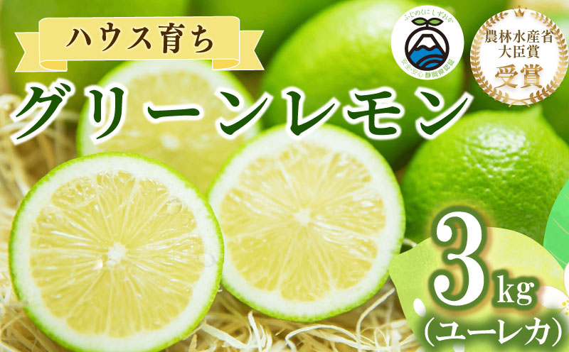 【農林水産大臣賞  先行予約 国産 レモン】選べる 内容量 グリーンレモン 3kg れもん 酸味 甘み 防腐剤不使用 大関農園  静岡県 牧之原市