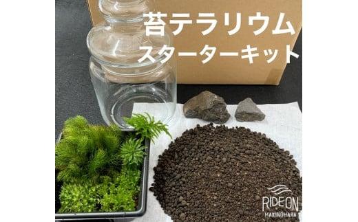 苔 テラリウム スターターキット こけ コケ 農家直送 こけ 専門 農家 直送 静岡県 牧之原市 インテリア 観葉 植物