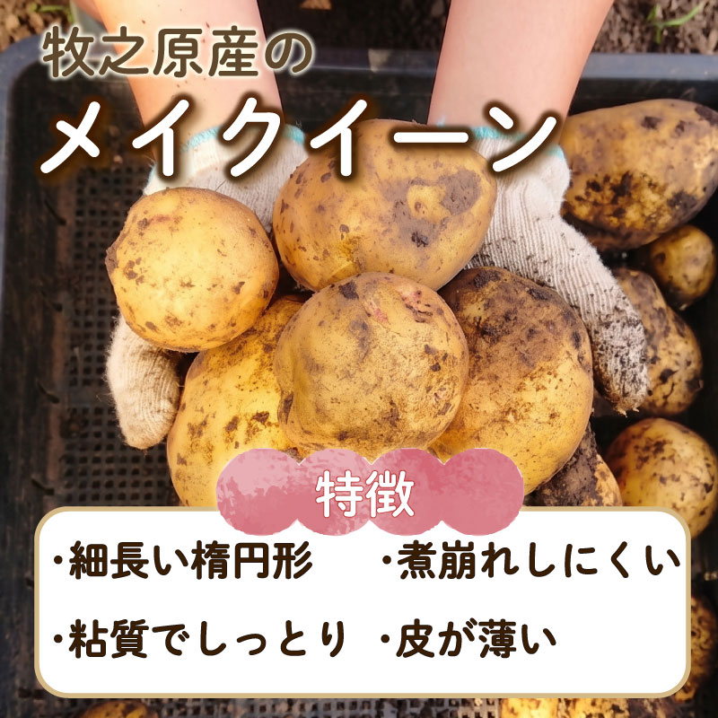 【先行予約 2027年3月順次発送 国産 じゃがいも】掘りたてメークイン 2kg  新じゃが  丸新柴本製茶 静岡 県 牧之原市