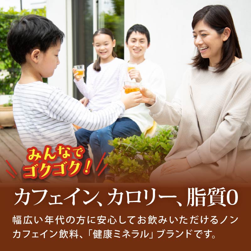 131-46 健康ミネラル むぎ茶 計12本 2L ×6 本 2ケース お届け カフェインゼロ 防災備蓄 茶 ペットボトル 飲料 伊藤園 ノンカフェイン