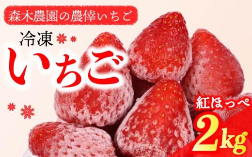冷凍 いちご 苺 2kg 完熟 紅ほっぺ ヘタ取り いちご 静岡 限定 苺 冷凍いちご 果物 スイーツ いちご 紅ほっぺ 牧之原市 デザート フルーツ スイーツ アイス ジャム シャーベット ベリー 氷菓 冷凍 甘い オススメ ギフト 人気 紅ほっぺ 牧之原市 森木農園