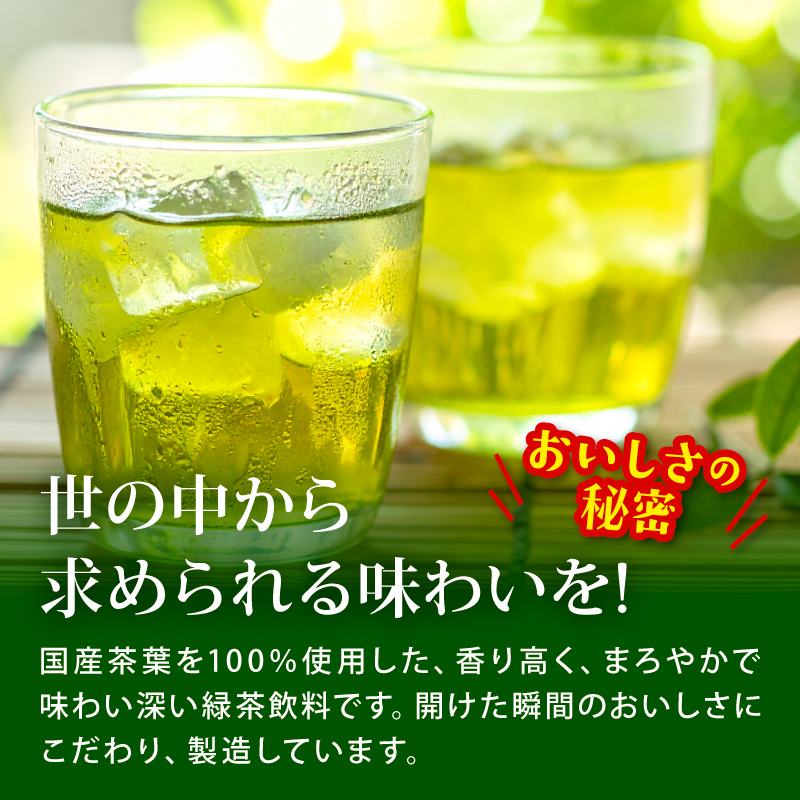 【定期便3か月】おーいお茶 緑茶 1L × 12本 3回お届け 定期便 茶 ペットボトル 飲料 ペットボトル飲料 おちゃ 緑茶飲料 飲み物 茶 りょくちゃ ちゃ tea アウトドア 日常 常備 備蓄 防災 防災備蓄 防災用品 災害 生活必需品 消耗品 非常用 災害対策 保存 ストック 日用品 水分補給 箱 箱買い まとめ買い おすすめ 静岡茶 飲料水 美味しい お～いお茶 伊藤園 牧之原市 静岡県
