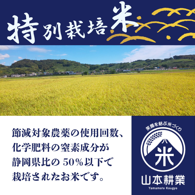コシヒカリ 5kg お米 米 白米 こしひかり 農家直送 産地直送 山本耕業 こめ香 静岡県 牧之原市 
