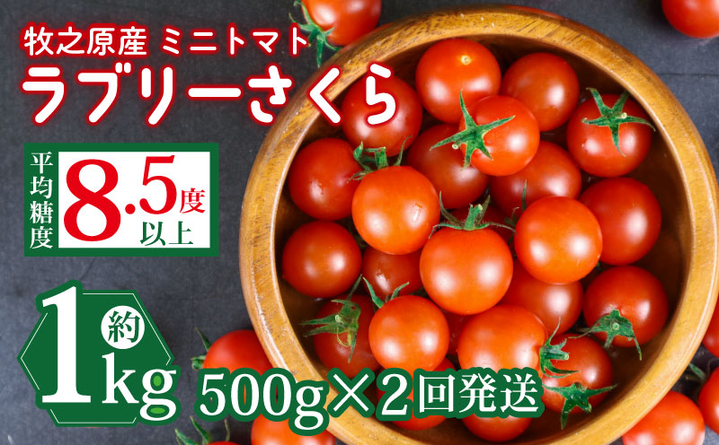 【先行予約】ミニ トマト フルーツ トマト ラブリーさくら うまたま 予約 受付 500g × 2回発送 計 1kg 国産 野菜 フルーツ 甘い トマト みにとまと 甘み 夏 新鮮 野菜 完熟 サラダ パスタ トマトソース トマトスープ トマトジュース おやつ 贈答 プレゼント お歳暮 安心 農家直送 産地直送 静岡トマト 予約 受付 やさい 国産 野菜 フルーツ 甘い 静岡県 牧之原市 山本農園