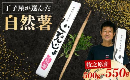 074-6　【R7年12月上旬からの発送】 丁子屋が選んだ 自然薯 台地のご馳走 500 g 〜550 g 新鮮 健康 長寿 とろろ 静岡県 牧之原市 ヤマゴ増田製茶