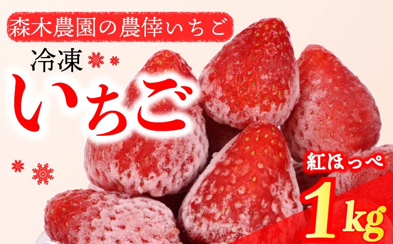 冷凍 いちご 苺 1kg 完熟 紅ほっぺ ヘタ取り いちご 静岡 限定 苺 冷凍いちご 果物 スイーツ いちご 紅ほっぺ 牧之原市 デザート フルーツ スイーツ アイス ジャム シャーベット ベリー 氷菓 冷凍 甘い オススメ ギフト 人気 紅ほっぺ 牧之原市 森木農園