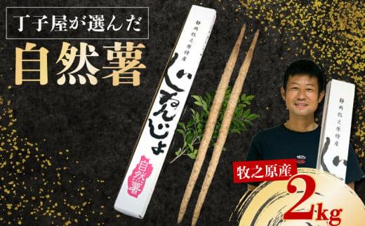 074-8　【R7年12月上旬からの発送】　丁子屋が選んだ 自然薯 台地のご馳走 2kg 新鮮 健康 長寿 とろろ 静岡県 牧之原市 ヤマゴ増田製茶
