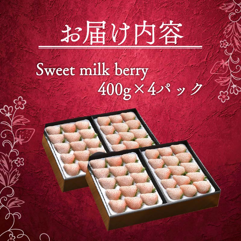 いちご 白いちご 計 1600g 計 4 パック 高級 白 イチゴ 苺 セット Sweet milk berry 4 パック 400g × 4 パック フルーツ 果物 ストロベリー 産地直送 国産 スイーツ デザート くだもの イチゴ 果物 贈答用 ギフト 畠農宝 静岡県 牧之原市
