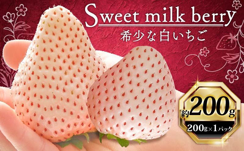 いちご 白いちご 計 200g 計 1 パック 高級 白 イチゴ 苺 セット Sweet milk berry 1 パック 200g × 1 パック フルーツ 果物 ストロベリー 産地直送 国産 スイーツ デザート くだもの イチゴ 果物 贈答用 ギフト 畠農宝 静岡県 牧之原市