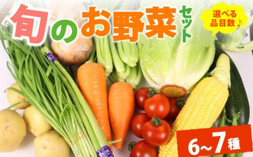 野菜 セット 6~7品目 以上 お野菜 季節 野菜 旬 新鮮 産地直送 詰め合わせ やさい おいしい 自然 セット 美味しい たっぷり 丸新柴本製茶 静岡県 牧之原市