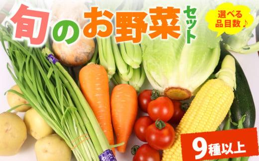 野菜 セット 9品目 以上 お野菜 季節 野菜 旬 新鮮 産地直送 詰め合わせ やさい おいしい 自然 セット 美味しい たっぷり 丸新柴本製茶 静岡県 牧之原市