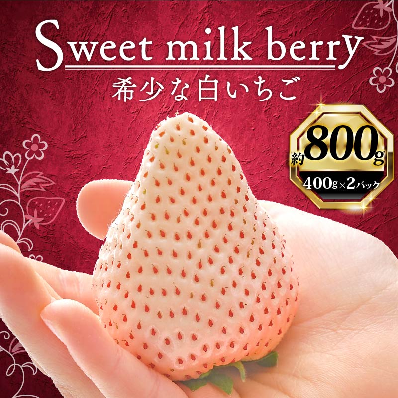 いちご 白いちご 計 800g 計 2 パック 高級 白 イチゴ 苺 セット Sweet milk berry 2 パック 400g × 2 パック フルーツ 果物 ストロベリー 産地直送 国産 スイーツ デザート くだもの イチゴ 果物 贈答用 ギフト 畠農宝 静岡県 牧之原市