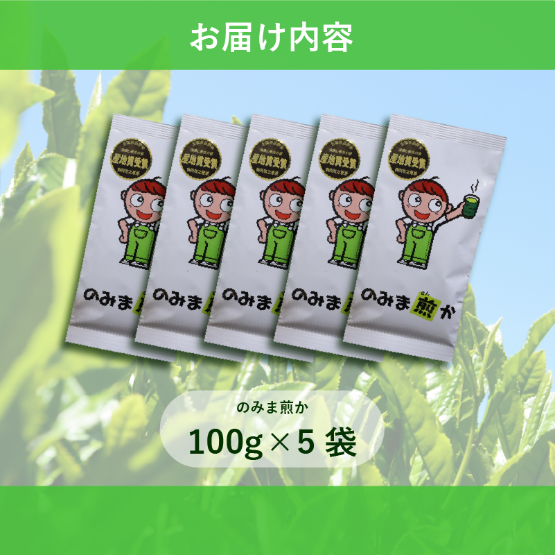 【2026年度産新茶】深蒸し煎茶 100 g × 5袋 のみま煎か 深蒸し 茶 お茶 茶葉 産地直送 国産 静岡県 牧之原市 あっくん 