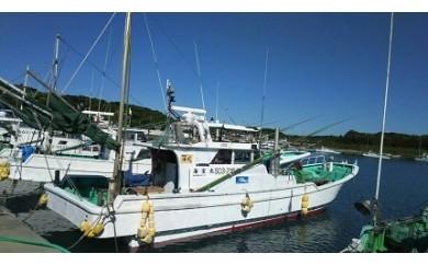 082-1　釣り船　海宝丸　乗船券　釣り物：太刀魚