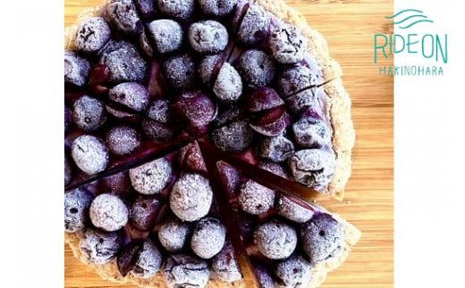 189-6　オーガニックRawブルーベリータルト