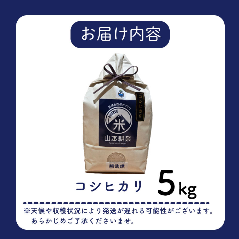 コシヒカリ 5kg お米 米 白米 こしひかり 農家直送 産地直送 山本耕業 こめ香 静岡県 牧之原市 