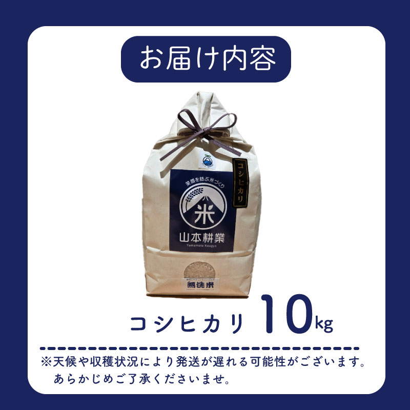 コシヒカリ 10kg お米 米 白米 こしひかり 農家直送 産地直送 山本耕業 こめ香 静岡県 牧之原市 