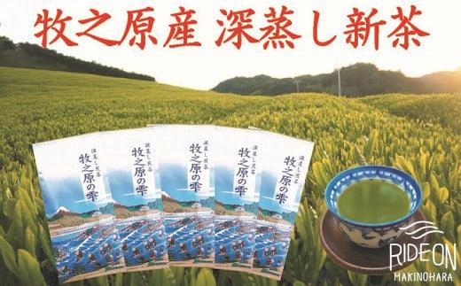 098-1  【5月より新茶出荷】 牧之原産 おいしい 新茶 5本 セット お茶 茶 深蒸し 煎茶 旬 日常 のし 熨斗 贈答 ギフト 静岡県 牧之原市 澤田行平商店