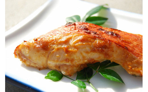 çš²åãéç®é¯ãå³å挬ãã5åãA026ïŒç°æäžžæ°Žç£ããã³ã¡ãã€ãã¿ã挬ãé岡çãæ±äŒè±çº